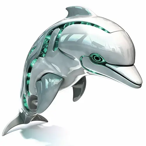 Level 5 image